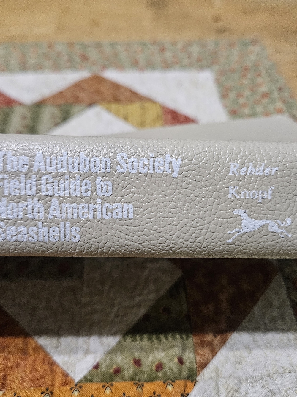 Field Guide to North American Seashells - Cream Softcover